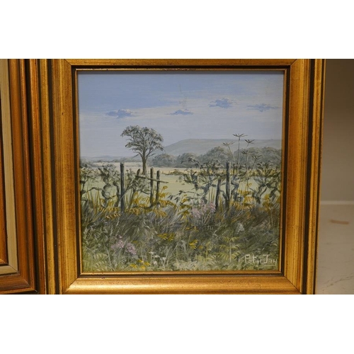 1726 - Peter Jay (b.1936), two oils on board, including Stile on the South Downs, each signed, 19.5 x 19.... 