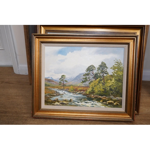 1764 - Robert Egginton (b.1943), oil on canvas, Mountainous riverscape, signed, 34 x 44cm. Condition - good... 