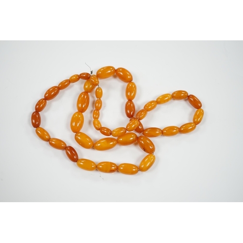 1900 - A single strand graduated amber bead necklace, 66cm, gross weight 40 grams. Condition - poor to fair... 