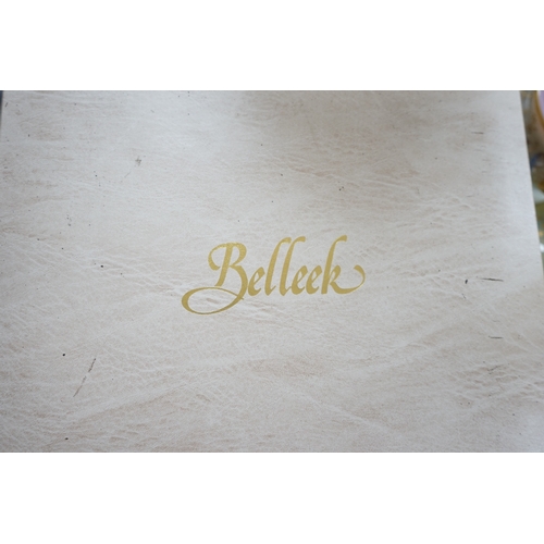 517 - A boxed Belleek coloured basket, 28cm diameter. Condition - fair to good, some damage and wear to th... 