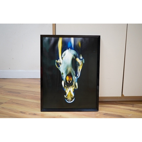 704 - Mat Collishaw (b.1966), contemporary C-type print, 'Blowback', 2015 limited edition 26/100, signed l... 