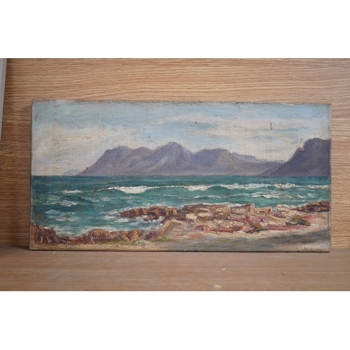 733 - 20th century, oil on canvas, Continental coastal scene, 23 x 46cm, unsigned, unframed. Condition - p... 