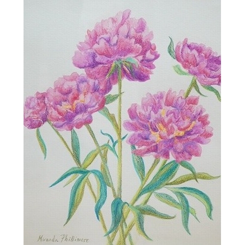 762 - Miranda Phillimore, set of three watercolours, Still lifes of flowers including anemones and peon... 