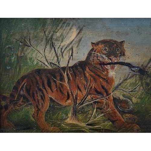 773 - Late 19th / early 20th century, naive oil on panel, Study of a tiger, indistinctly signed lower left... 