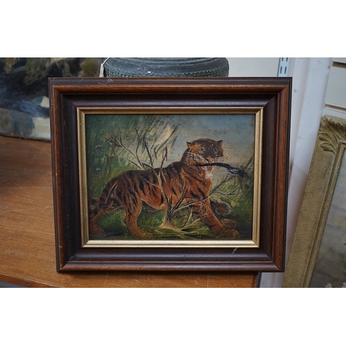 773 - Late 19th / early 20th century, naive oil on panel, Study of a tiger, indistinctly signed lower left... 