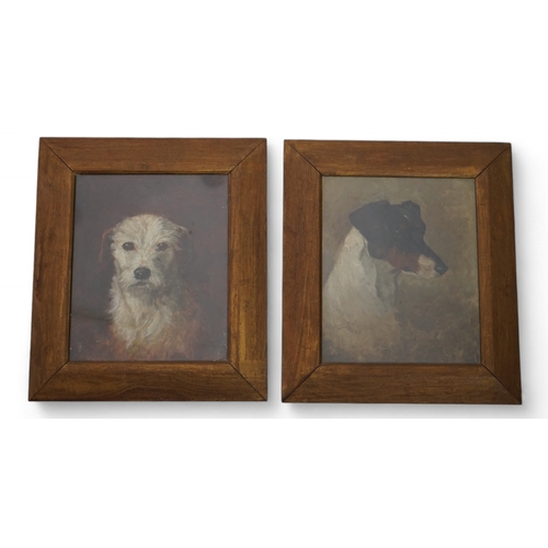 60 - Savile Lumbley Flint (fl.1880-95) Study of a fox terrier and a rough coated terrieroils on canvasone... 