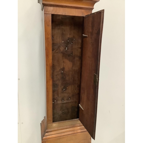 1117 - A George III elm and fruitwood cased thirty hour longcase clock, height 201cm. Condition - good, but... 