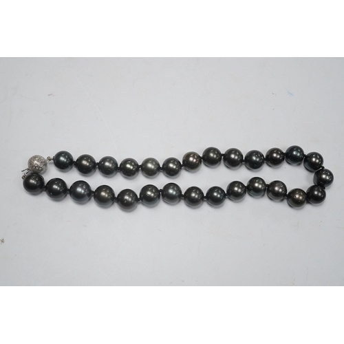 1907 - A modern single strand Tahitian black pearl necklace, with diamond cluster set 14k white metal spher... 