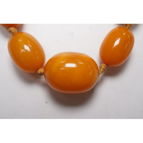 1914 - A single strand graduated oval amber bead necklace, 62cm, gross weight 34 grams. Condition - poor to... 