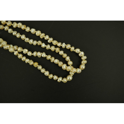 134 - An antique twin strand baroque pearl necklace, with pearl set gold clasp bordered with single chain ... 