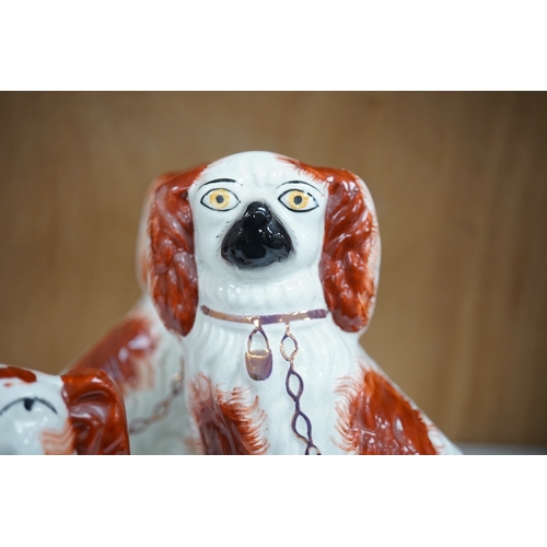 1253 - A pair of Staffordshire potter spaniels, and a similar smaller example, taller 18cm. Condition - sma... 