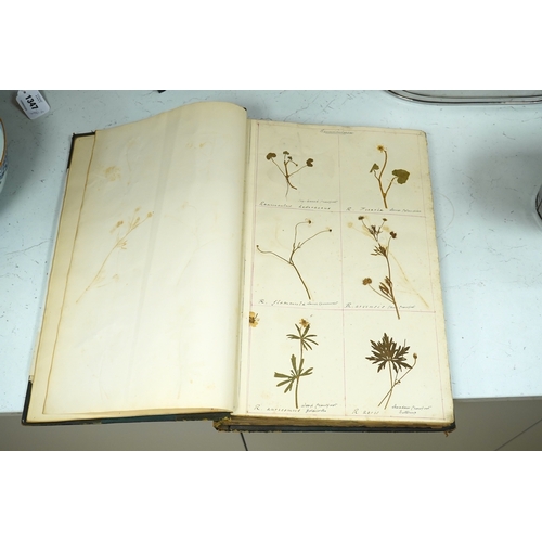 1447 - British Wild Flowers, a 19th century album of pressed British flowers. Condition - fair to good... 