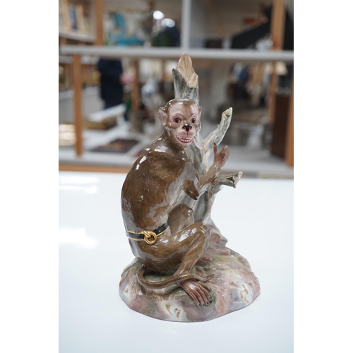 1470 - A 19th century Meissen painted porcelain model of a Rhesus Monkey, modelled by Johann Joachim Kaendl... 