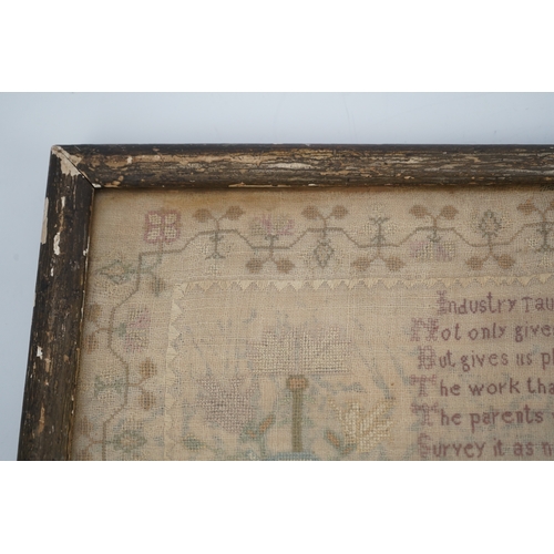 1504 - A gilt framed finely worked Regency gauze sampler, by Amelia Artus, aged 8 years, dated 1813, worked... 