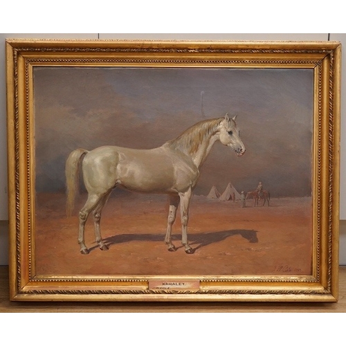 1708 - James William Cole (act.1849-1889), oil on canvas, 'The Arab Stallion 'Kahalet', signed and dated 18... 