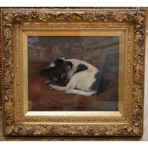 1753 - Circle of Frank Paton (1855-1909), oil on canvas, Study of a sleeping Jack Russell terrier, unsigned... 