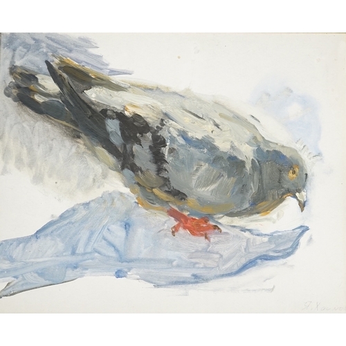 1776 - Yakov Markovich, Russian oil on canvas board, Study of a pigeon, signed, 24 x 30cm. Condition - good... 