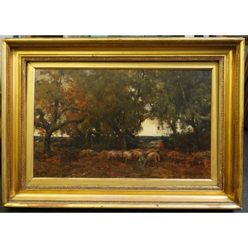 1824 - Claude Hayes (English, 1852-1922), oil on canvas, Normandy, shepherd and flock, 80 x 49.5cm. Conditi... 