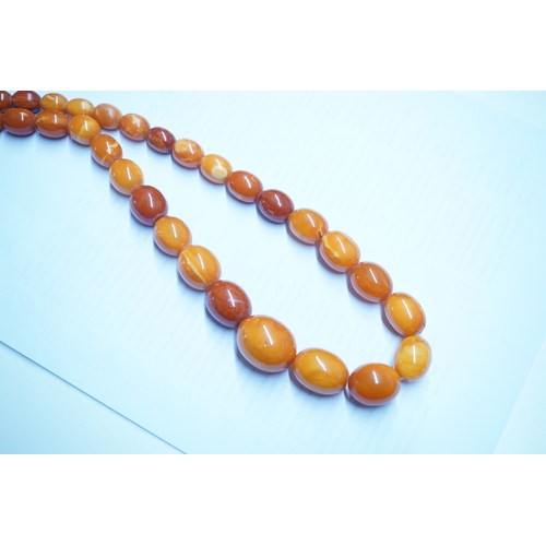 1926 - A single strand graduated oval amber bead necklace, 110cm, gross weight 103 grams. Condition - poor ... 