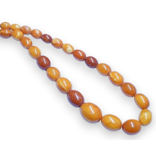 1926 - A single strand graduated oval amber bead necklace, 110cm, gross weight 103 grams. Condition - poor ... 