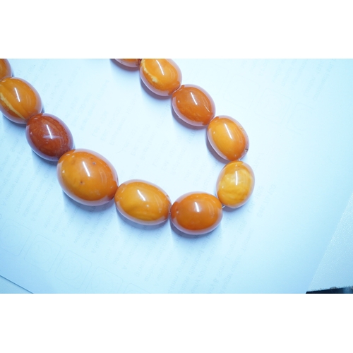 1926 - A single strand graduated oval amber bead necklace, 110cm, gross weight 103 grams. Condition - poor ... 