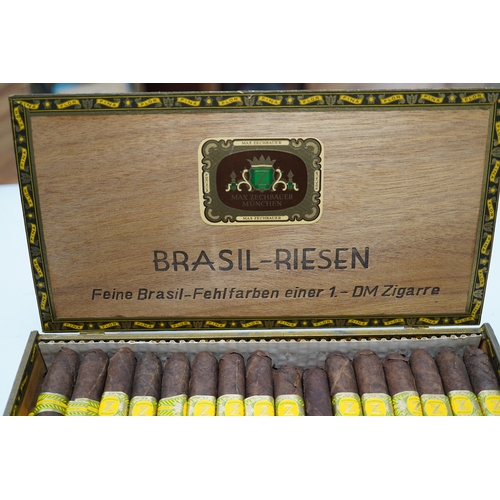 591 - Cased cigars: Max Zechbauer Brasil-Riesen, full set of 50. Condition - box opened, storage unknown... 