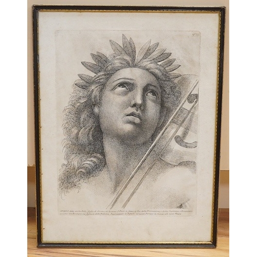 710 - 19th century, Italian school, etching, Apollo, 48 x 36cm. Condition - fair