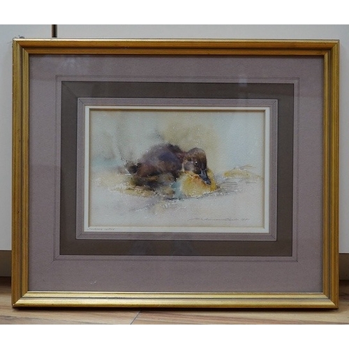 731 - Ian Armour-Chelu (1928-2000), watercolour, Duck resting, signed and dated 1981, 15 x 23cm. Condition... 