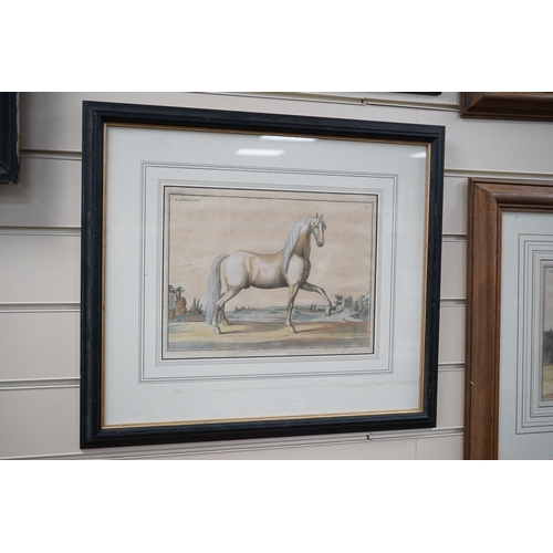 819 - Four 18th/19th century coloured etchings, horses to include Le Napolitain and Le Turc, 23 x 30cm... 