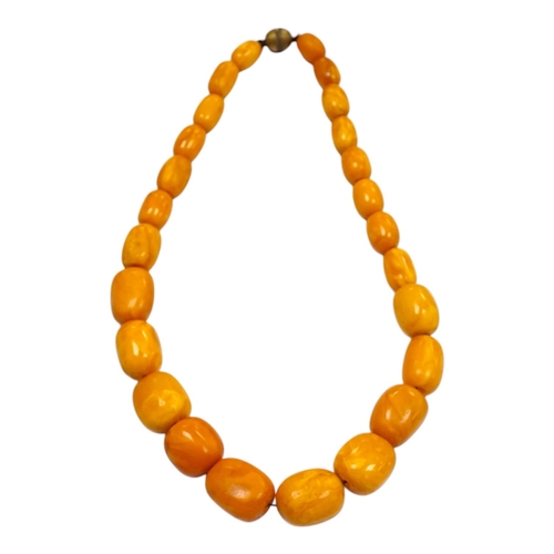 903 - A single strand graduated oval amber bead necklace, 42cm, gross weight 49 grams. Condition - poor to... 