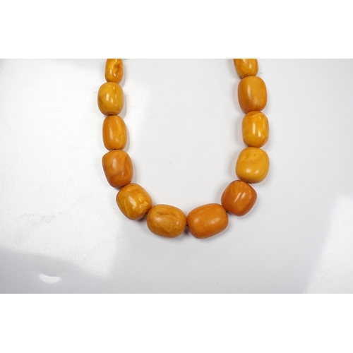 903 - A single strand graduated oval amber bead necklace, 42cm, gross weight 49 grams. Condition - poor to... 