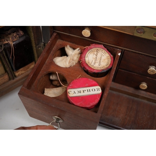 1266 - A 19th century mahogany apothecary cabinet, containing 20 bottles of various medicinal compounds and... 