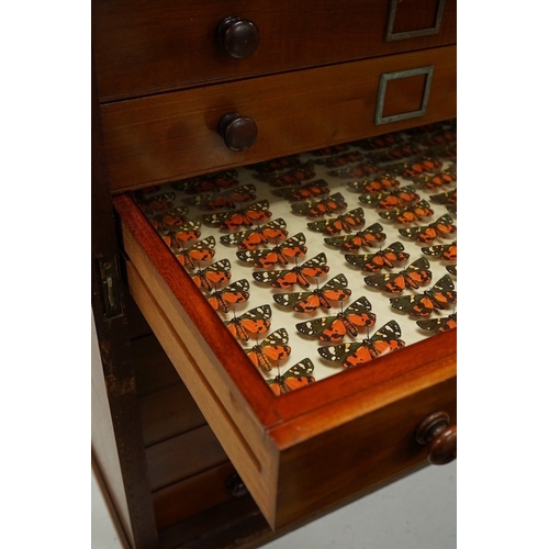 1282 - A Victorian mahogany 10-drawer collectors cabinet with arched glazed door, height 68cm, width 54cm,... 