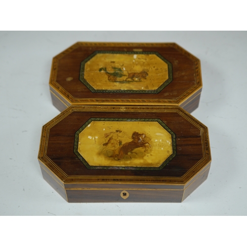 1404 - A pair of Regency octagonal boxes, with decorative central cartouche. 23cm wide x 12.5cm deep. Condi... 