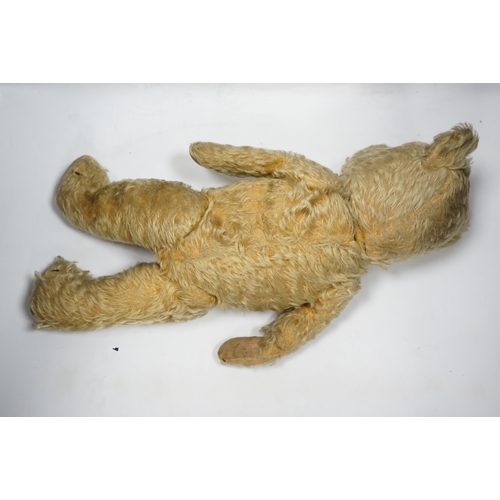 325 - A 1930s English Teddy bear, gold mohair plush and glass eyes, 49cm.  Condition - fair