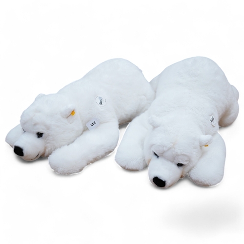 335 - Two large modern Steiff polar bears, both with buttons in the ears and original card tags still atta... 