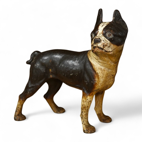 422 - A painted cast iron model of a Boston Terrier, 25cm tall. Condition - fair to good