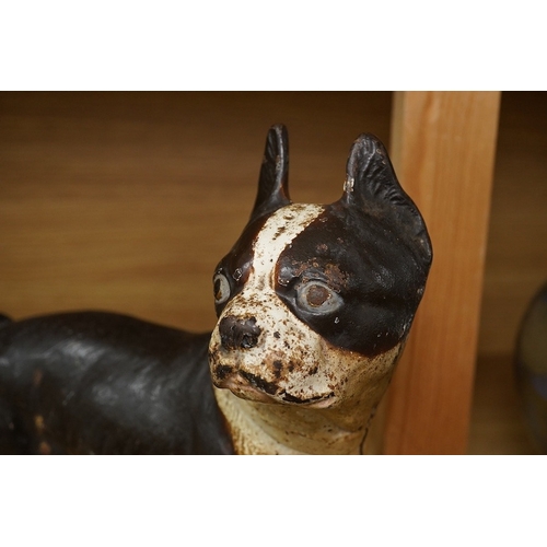 422 - A painted cast iron model of a Boston Terrier, 25cm tall. Condition - fair to good