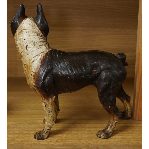 422 - A painted cast iron model of a Boston Terrier, 25cm tall. Condition - fair to good