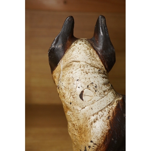 422 - A painted cast iron model of a Boston Terrier, 25cm tall. Condition - fair to good