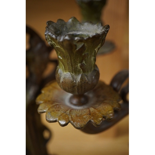 428 - A pair of French patinated spelter floral painted Art Nouveau two branch, three light candelabra, 40... 