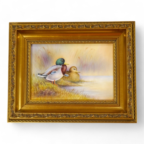 450 - A Royal Worcester framed porcelain plaque, decorated with ducks, signed P. Platt (Peter Platt), 12 x... 