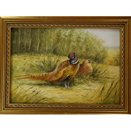 455 - A Royal Worcester framed porcelain plaque decorated with game birds, signed T. Nutt (Terry Nutt), 12... 