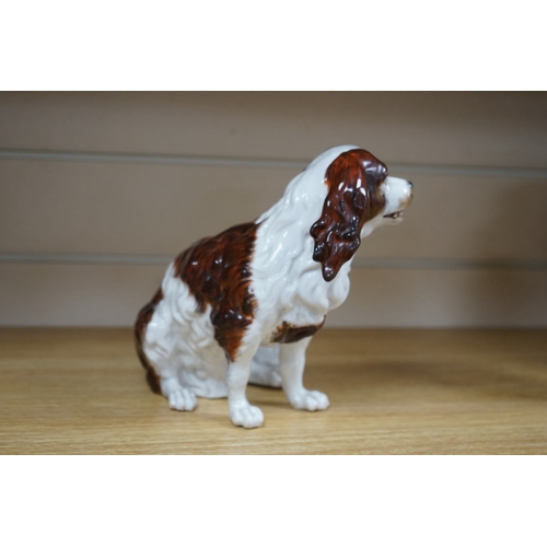 484 - A Sitzendorf porcelain model of seated Spaniel, 21cm. Condition - repaired paw