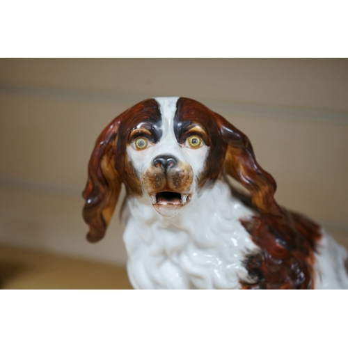 484 - A Sitzendorf porcelain model of seated Spaniel, 21cm. Condition - repaired paw