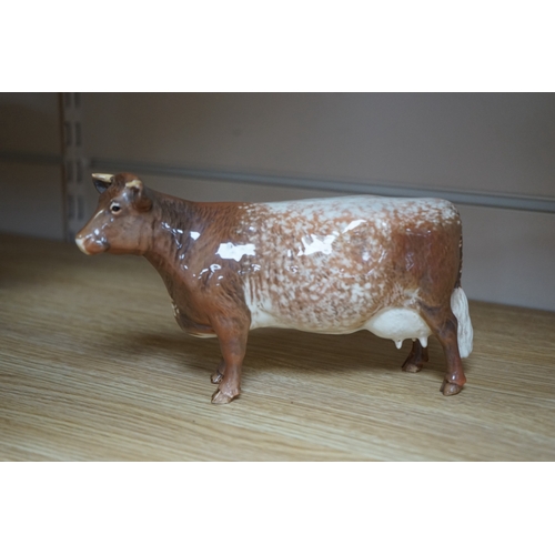 489 - A Beswick model of a Shorthorn cow, ch. ''Eaton Wild Eyes 91st'', together with a Beswick Coddington... 