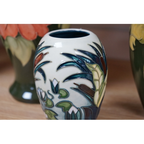 491 - Three 1990's Moorcroft vases, Hibiscus and Lamia pattern, tallest 26cm. Condition - good