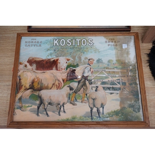 517 - Two Kositos chromolithograph adverts for cooked horse, cattle, sheep and pig food, largest 49cm wi... 