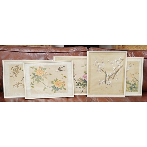 818 - 20th century, Chinese School, set of five watercolours on silk, Birds of Paradise amongst flowers, 2... 