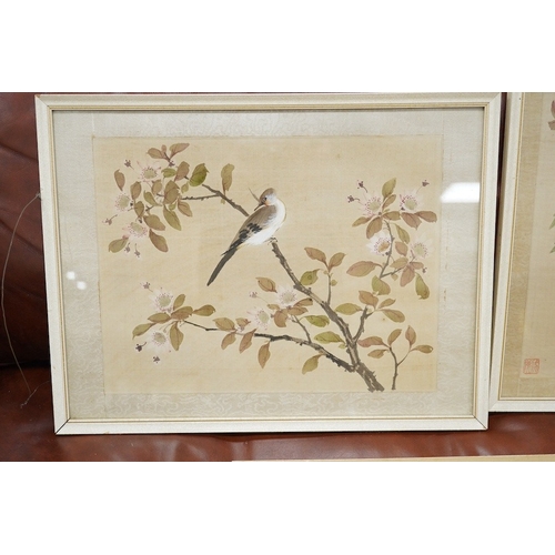 818 - 20th century, Chinese School, set of five watercolours on silk, Birds of Paradise amongst flowers, 2... 